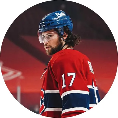 Josh Anderson profile