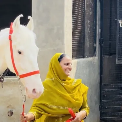 jot farm(ਘੋੜੀਆਂ ਵਾਲੇ) profile