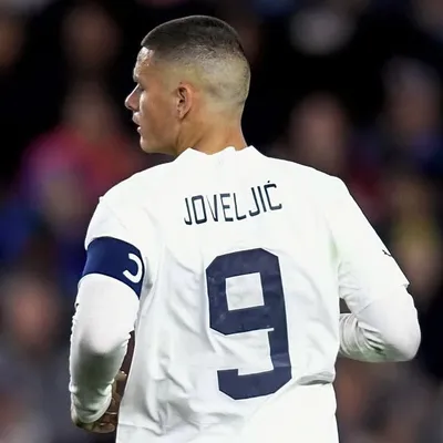 Dejan Joveljic profile