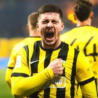 Luka Jovic profile