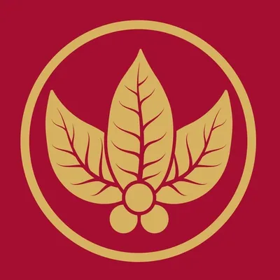 Joya de Nicaragua Cigars profile
