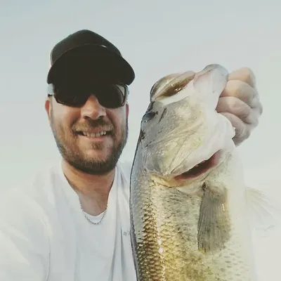 Josh Perrymon profile