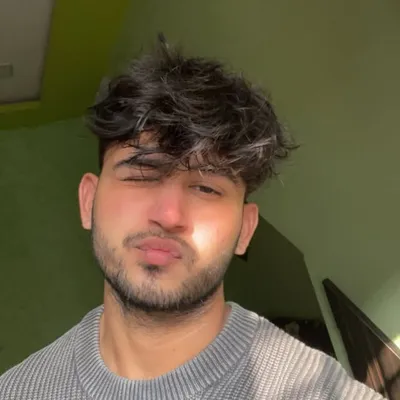 A M N ⚜️ profile