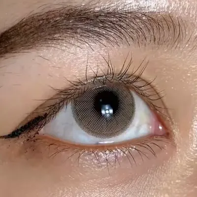 Bakul Softlens Sidoarjo profile