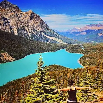 #jrtravelsofdreams profile