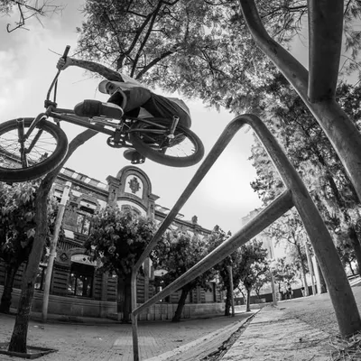 Juan Delgado profile