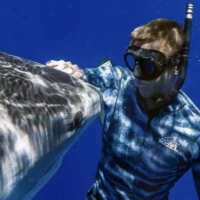 Juan Oliphant #JuanSharks profile