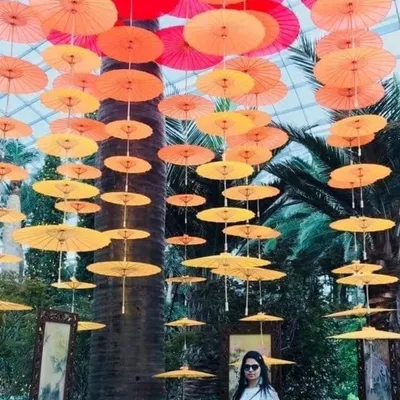 Juhi profile