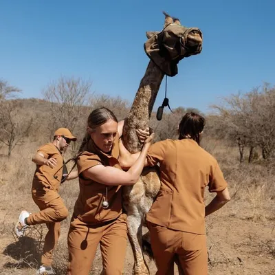 Dr Chloe Buiting | Wildlife Vet profile