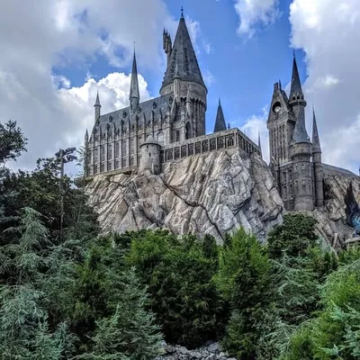 junior_wizard_ profile