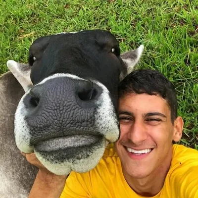 Junior Guerreiro profile