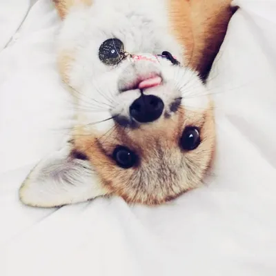 JUNIPER WILDLIFE REFUGE profile