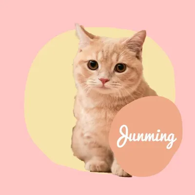 俊民 junming profile