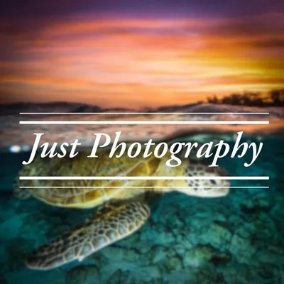 Free Shoutout ๐ธ๐ profile