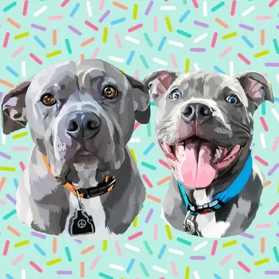 Leon & Lou profile