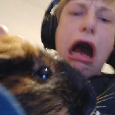 papukaija kuvia ja sillei profile
