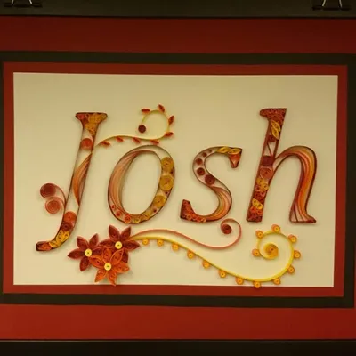 Josh profile