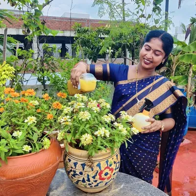✨Jyothirmaye Reddy Lingumpelly✨ profile