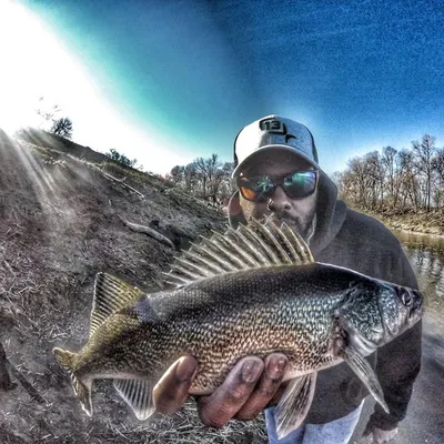 Theo Toliver Fishing profile
