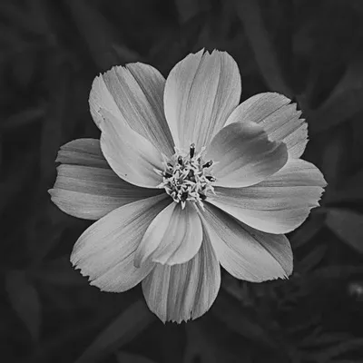 ka photography profile
