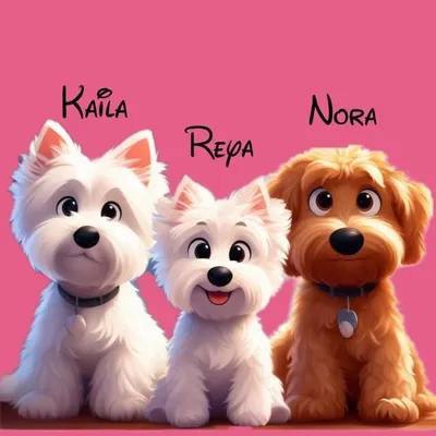 Kaila Nora & Reya profile