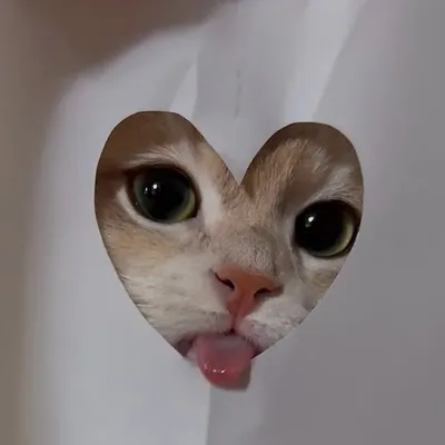 王 凱 文 profile