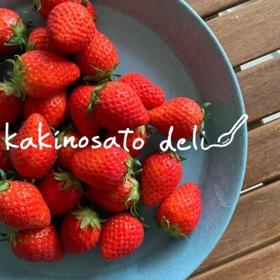 KAKINOSATO DELI profile