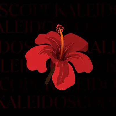 Kaleidoscope Store profile