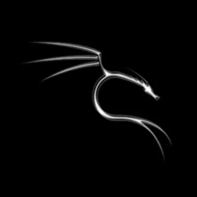 kali linux tools profile