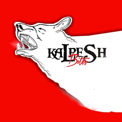 Kalpesh Bites profile