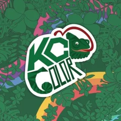 KAMALEÃO COLOR | KC COLOR profile