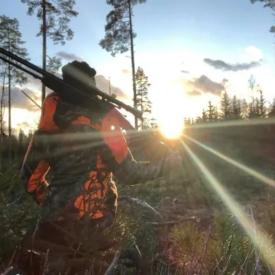 🌲🦌Kamilla Björling 🇸🇪 profile