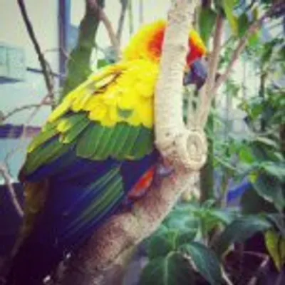 profile