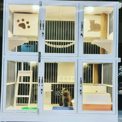 KANDANG KUCING SOLO profile