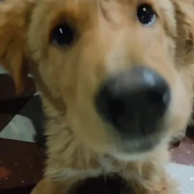 kannu profile