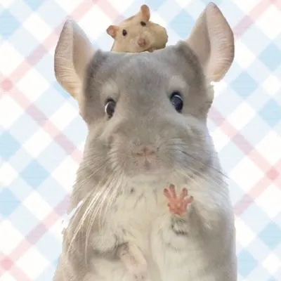 うにといくら profile