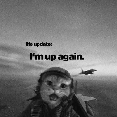 ๐๐ profile