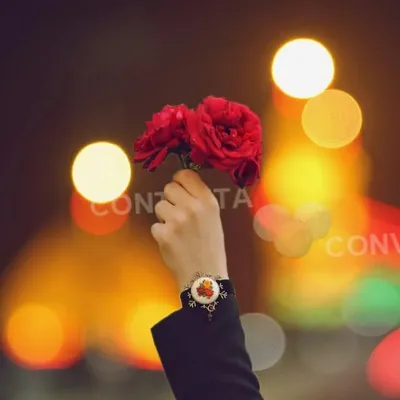 Karbala Lovers profile