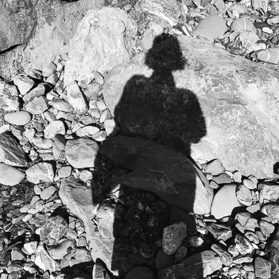 katharina kleiter profile