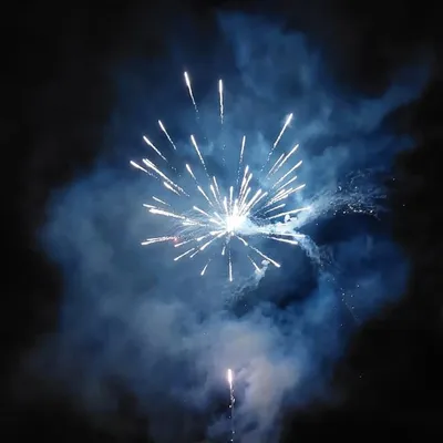 Karolina Werner profile