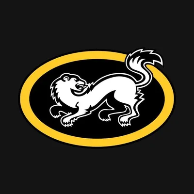 Oulun Kärpät profile