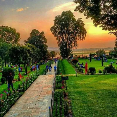 Kashmir profile