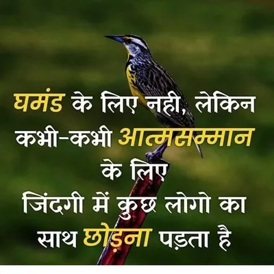 Ranu Garg profile