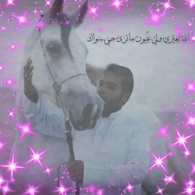 محمد الرواس profile