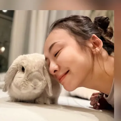 kasumi🐰金本かすみ profile
