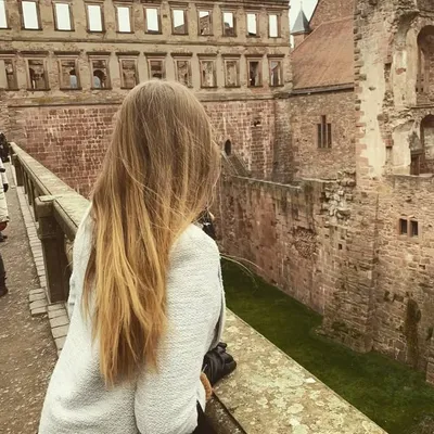 profile