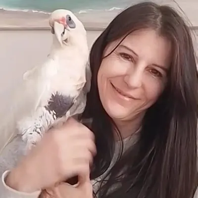 Katie's Birds profile