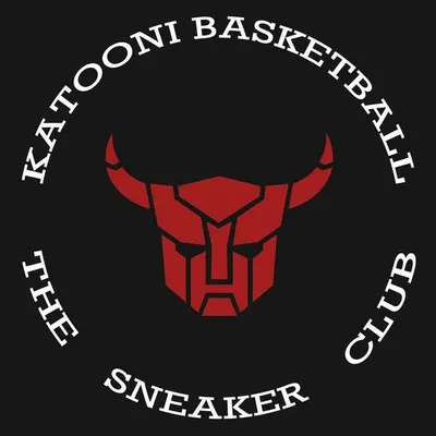 Katoonibasketball.com profile