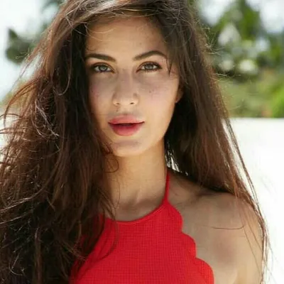 Katrina Kaif FC ๐ผ profile