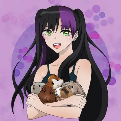 Kats_guineapigs profile
